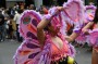 Thumbs/tn_Zomercarnaval 2024 636.jpg